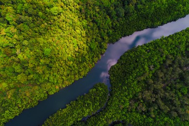 Santander trabaja para el desarrollo sostenible del Amazonas